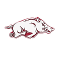 Budz | Arkansas Razorbacks